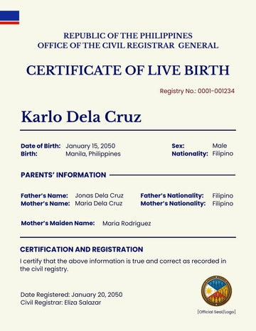 Philippines Birth Certificate Template - Edit Online & Download