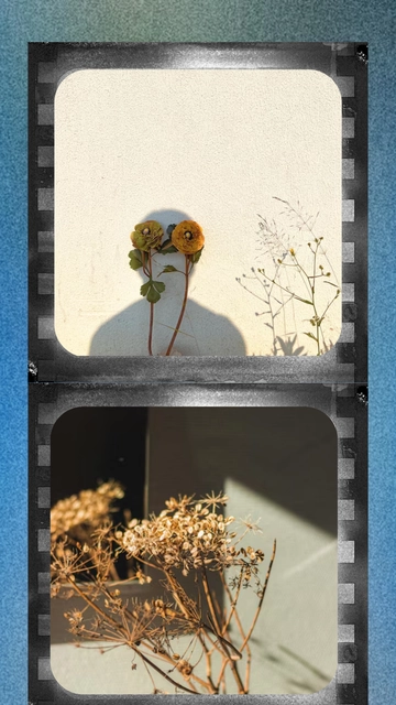 Film Story Photo Template - Edit Online