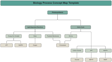 Biology Process Concept Map Template - Edit Online & Download