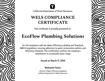 WELS Compliance Certificate Template - Edit Online & Download