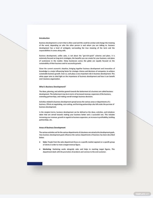 Business Development White Paper Template