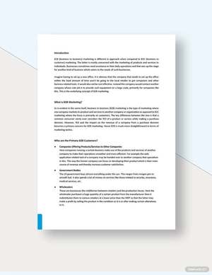 B2B Marketing White Paper Template