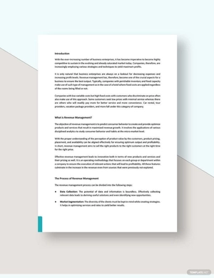 Revenue Management White Paper Template