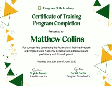 Training Program Completion Certificate Template - Edit Online & Download