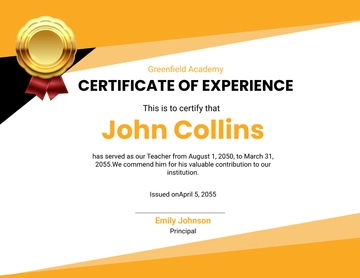 Aesthetic Teaching Experience Certificate Template - Edit Online & Download