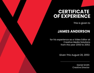 Experience Certificate for Video Editors Template - Edit Online & Download