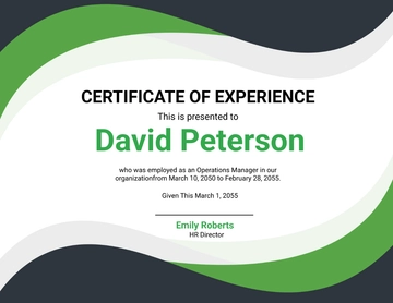 Modern Manager Experience Certificate Template - Edit Online & Download