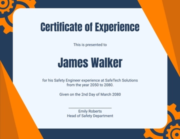 Safety Engineer Experience Certificate Template - Edit Online & Download