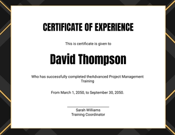 Professional Training Experience Certificate Template - Edit Online & Download