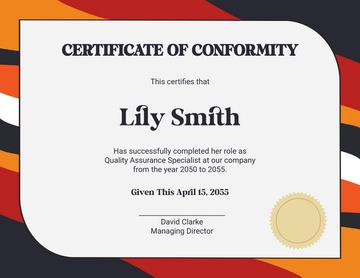 Creative Experience Certificate for Conformity Template - Edit Online & Download