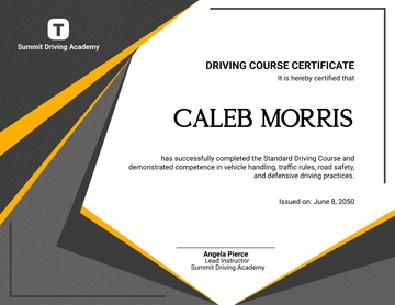 Modern Driving Course Certificate Template - Edit Online & Download