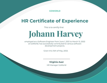 Professional HR Certificate of Experience Template - Edit Online & Download
