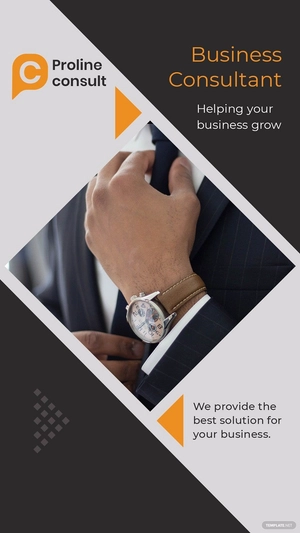 Business Consultant Instagram Story Template