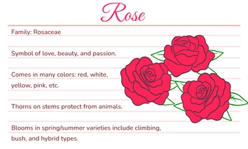 Free 1/8 Index Card Template to Edit Online
