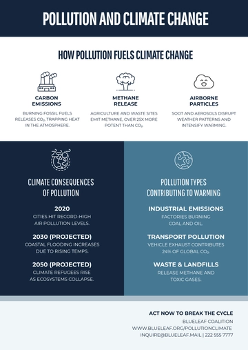 Free Pollution and Climate Change Infographic Template to Edit Online