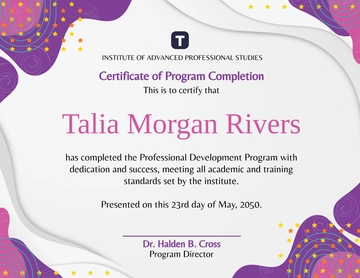 Free Colorful Professional Program Certificate Template to Edit Online