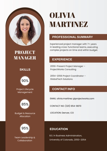 Free Brown Working Resume Infographic Template to Edit Online