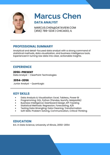 Free Resume Skills Infographic Template to Edit Online
