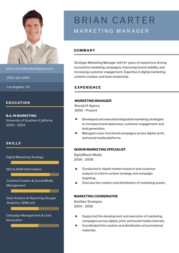Free Dynamic Resume Infographic Template to Edit Online