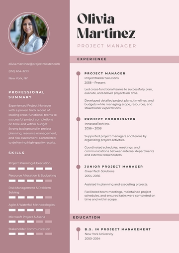 Free Aesthetic Resume Project Infographic Template to Edit Online