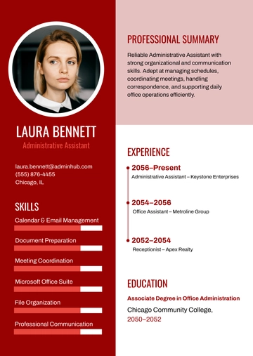 Free Traditional Resume Infographic Template to Edit Online