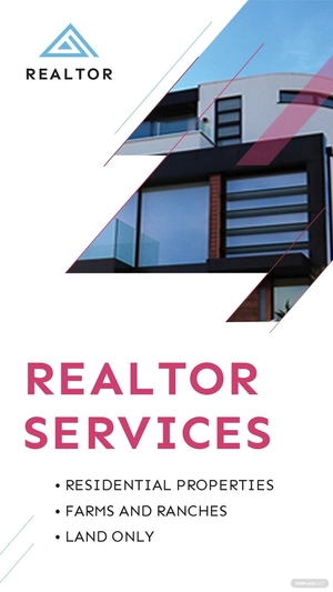 Real Estate Agent/Realtor Instagram Story Template