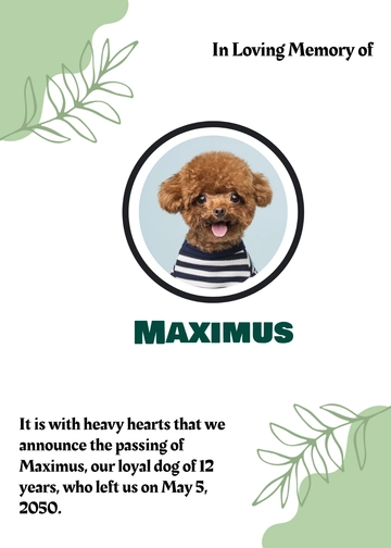 Free Pet Obituary Template to Edit Online