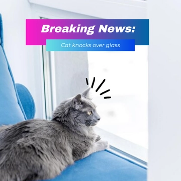 Free Breaking News Meme Template to Edit Online