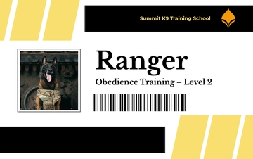 Free Modern Dog Training ID Card Template to Edit Online