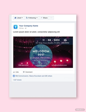 Music Festival Facebook Post Template