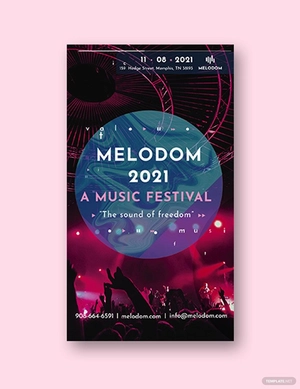 Music Festival Instagram Story Template