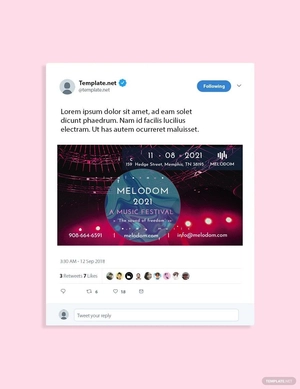 Music Festival Twitter Post Template