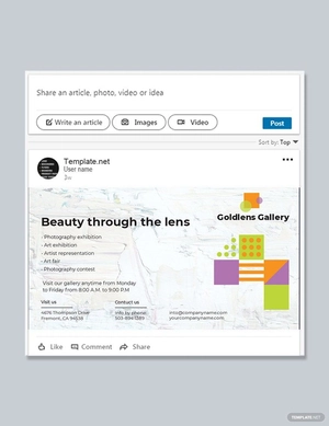 Photo Art Gallery Linkedin Post Template
