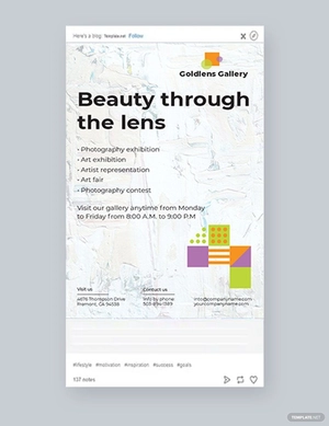 Photo Art Gallery Tumblr Post Template