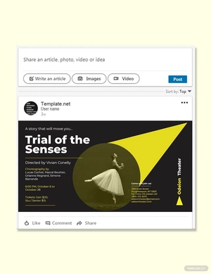 Theater Company Linkedin Post Template
