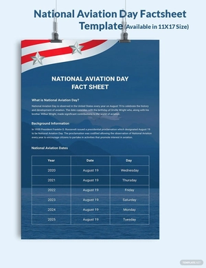 National Aviation Day Factsheet Template