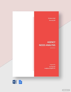 Agency Needs Analysis Template