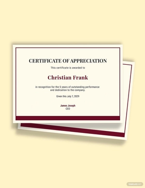 5 Year Work Anniversary Certificate Template