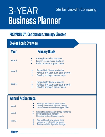 Free 3-Year Business Planner Template to Edit Online