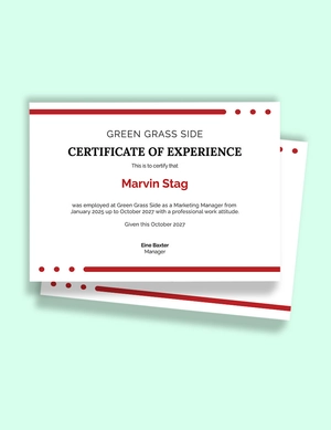 Application for Job Experience Certificate Template
