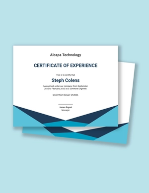 Software Experience Certificate Template