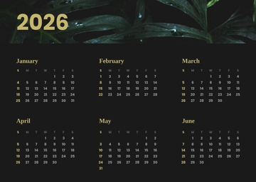 Free Six?Month Photo Calendar Template to Edit Online