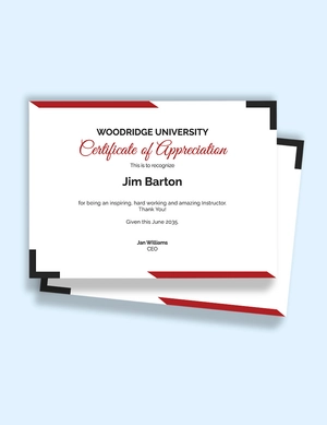 Thank You Teacher Appreciation Certificate Template