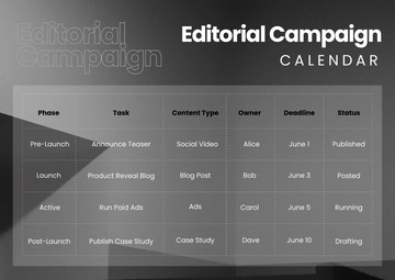 Free Professional Editorial Campaign Calendar Template to Edit Online