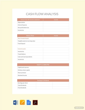 Cash Flow Analysis Template