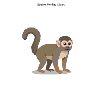 Free Squirrel Monkey Clipart to Edit Online
