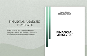 Financial Analysis Template Financial Analysis Template