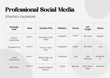 Free Professional Social Media Strategy Calendar Template to Edit Online