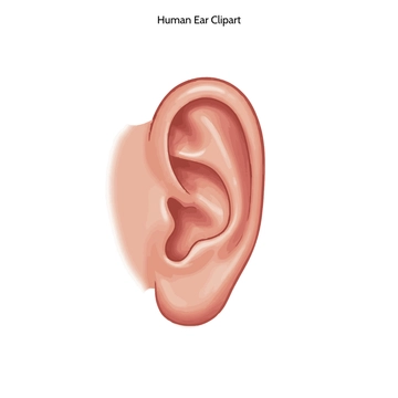 Free Human Ear Clipart to Edit Online