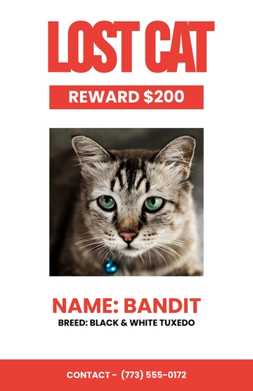 Free Lost Cat Reward Poster Template to Edit Online